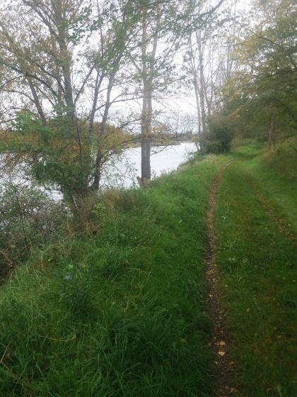 La rive de la Loire &agrave; Mareau-aux-pr&eacute;s