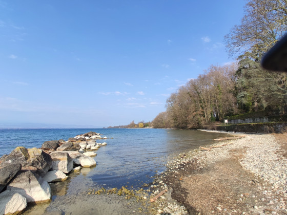La rive devant le ch&acirc;teau de Beauregard