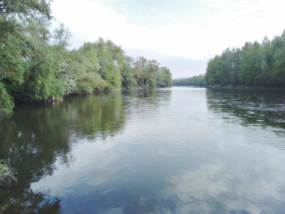 La rivière Allier
