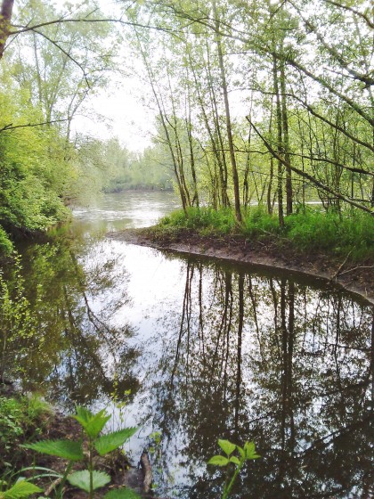 La rivière Allier