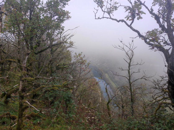 La rivière d\'Ain