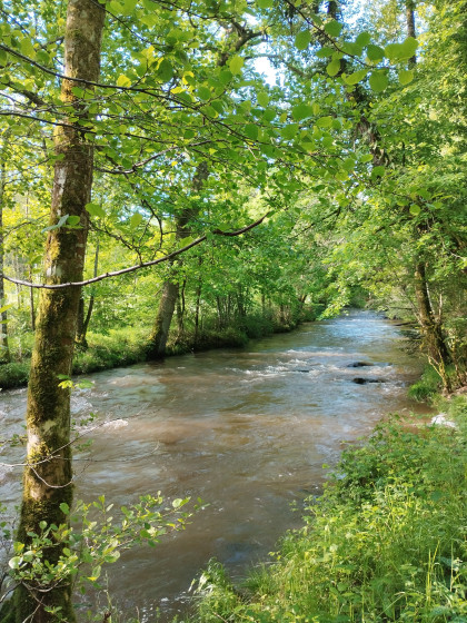 La rivière d'Aix