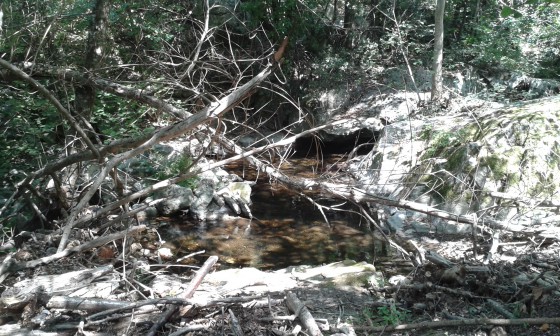 La rivière de Laroque