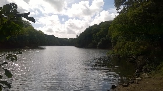 La rivière du Loc\'h