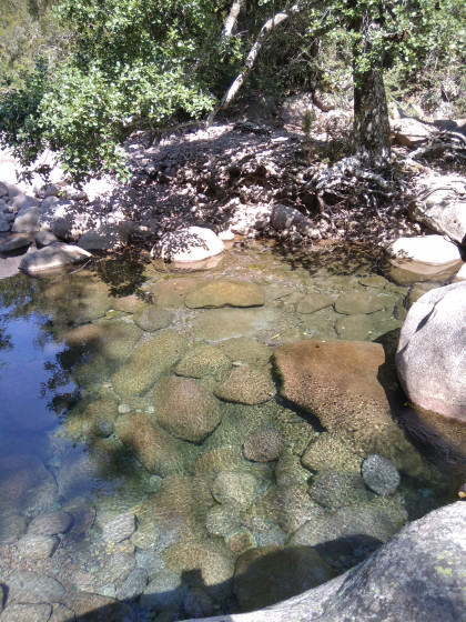 La rivière et ses trous d'eau