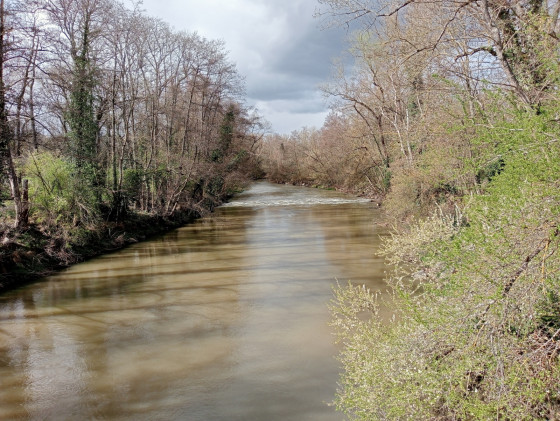 La rivi&egrave;re l'Ill depuis le pont Erblant