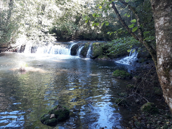 La rivière le Gland en amont de la cascade.