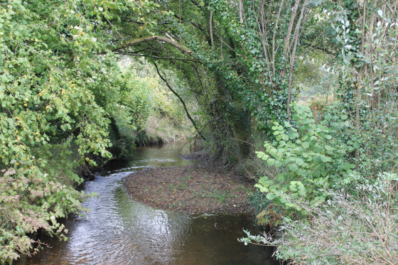 la rivière le Langelin