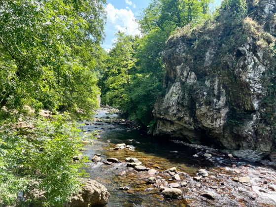 La rivi&egrave;re leitza
