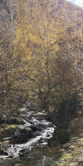 La rivi&egrave;re sous le refuge