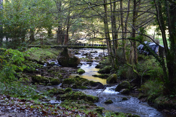 La rivière