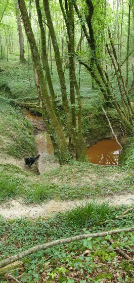 La rivi&egrave;re