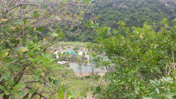 La rivi&egrave;re