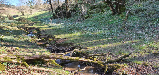La Rivi&egrave;re