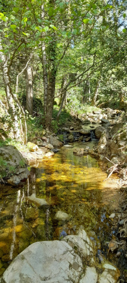 La Rivière.