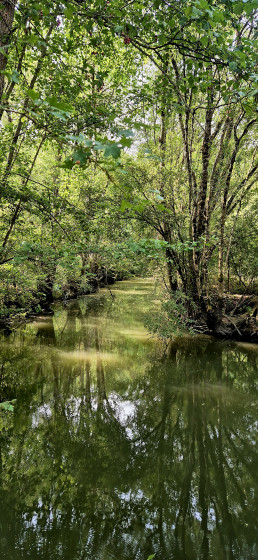 La rivière