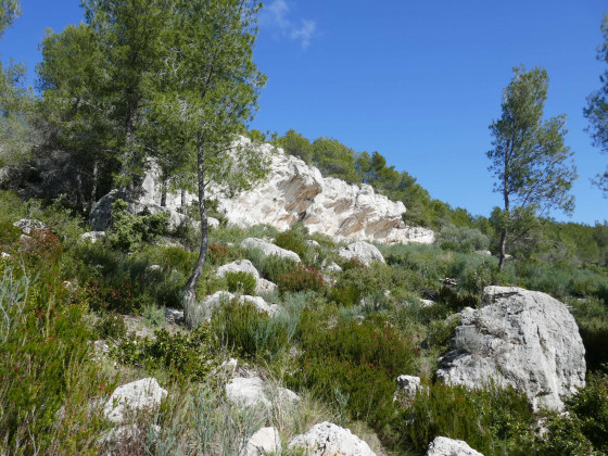 La roche Curade