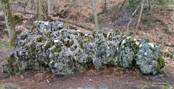 La Roche Éponge