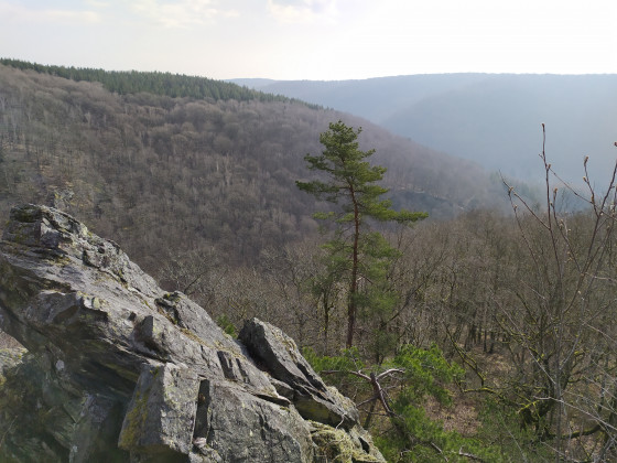 La Roche Maret
