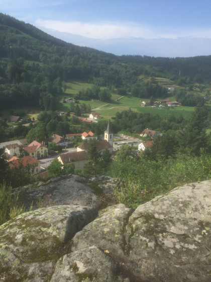 la roche Plate