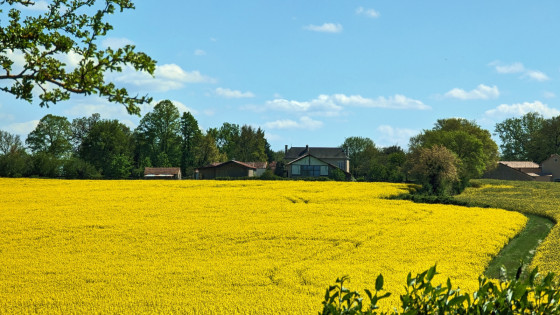 La Roche.