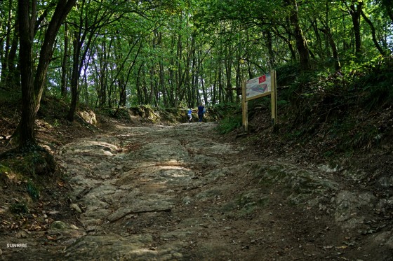 La roche