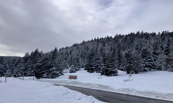 La route au Col de Jau