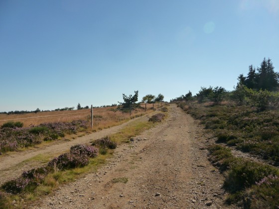 La route des Crêts