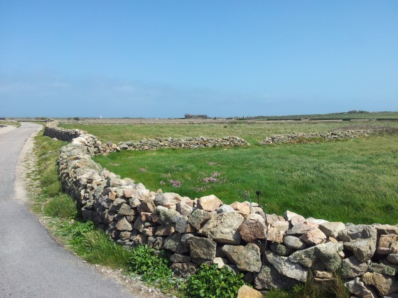 La route est bordée de murets