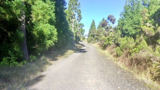 La Route Forestière 58 de la Scierie et des Hauts des Makes