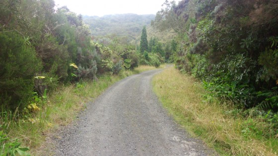 La Route Foresti&egrave;re 58 de la Scierie et des Hauts des Makes