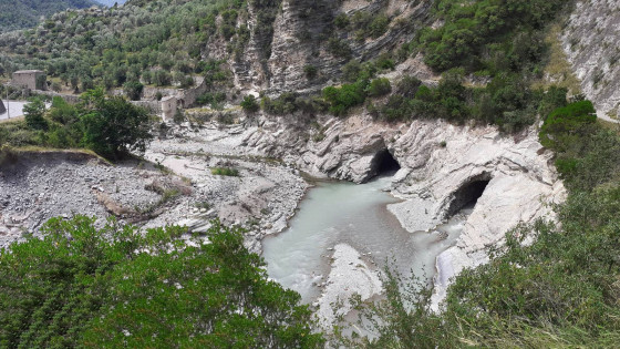 La Roya