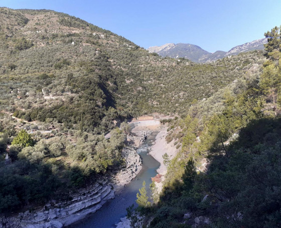 La Roya