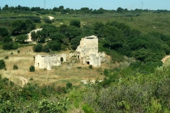La ruine de la ferme de Mion