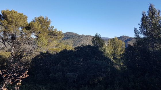 La Sainte Baume