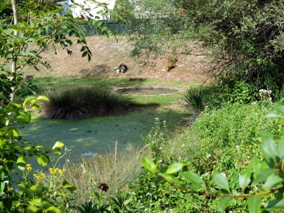 La Saunerie