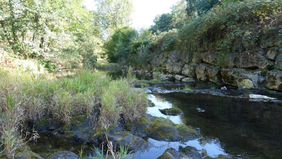 la Savoureuse à Valdoie
