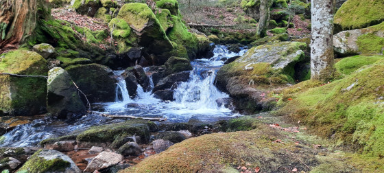 Succession de cascades