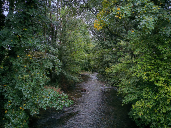 La Savoureuse