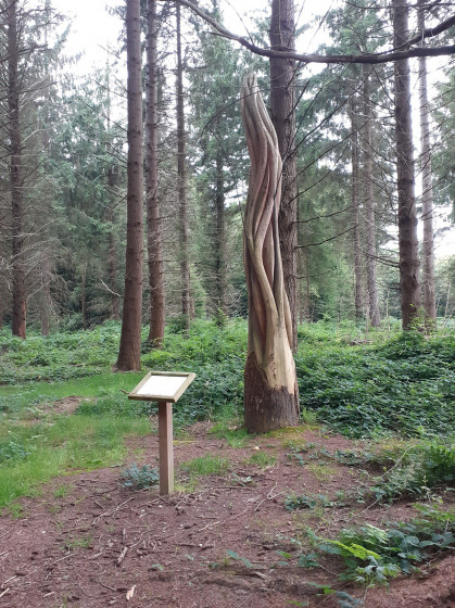 La sculture 