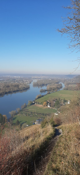 La Seine apparaît