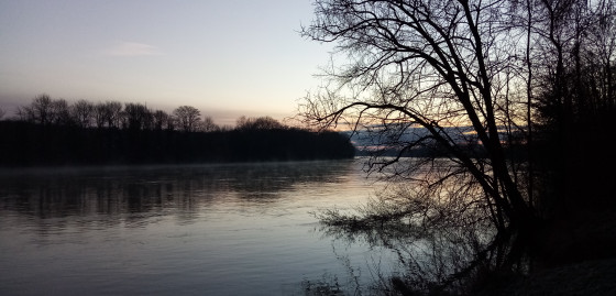 La Seine au petit matin