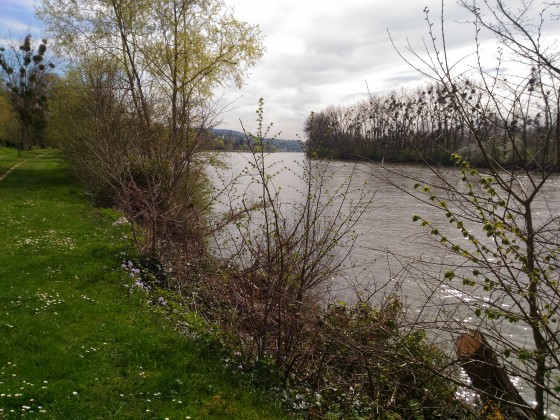 La Seine