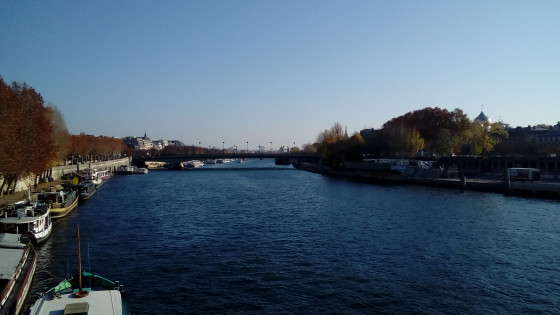 La Seine (rive gauche)