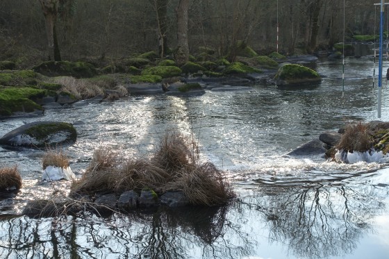 La Sèvre à moulin Daudet