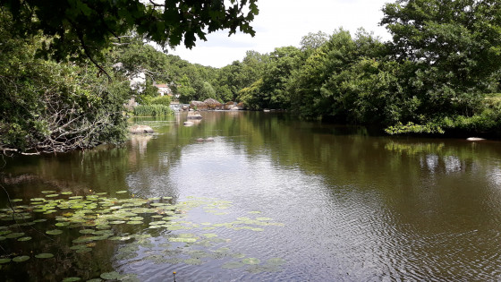 La Sèvre Nantaise au village du Domaine