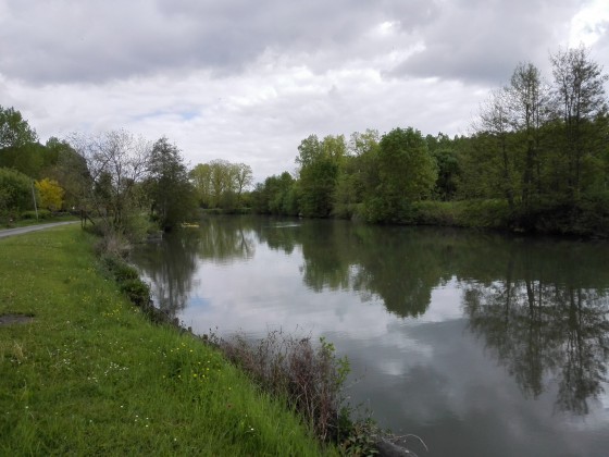 La Sèvre Niortaise