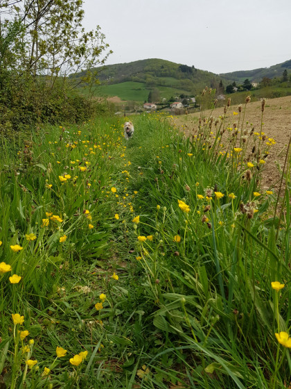la sortie du chemin étroit