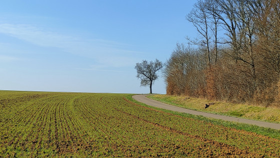 La sortie