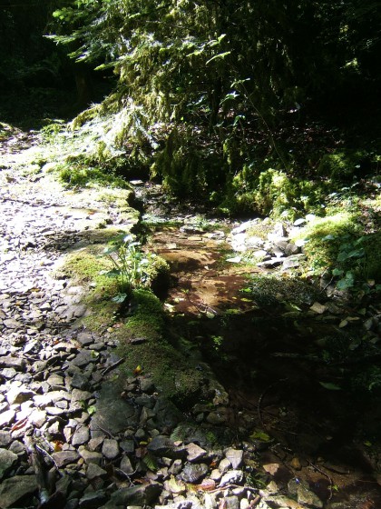 La source de Brue